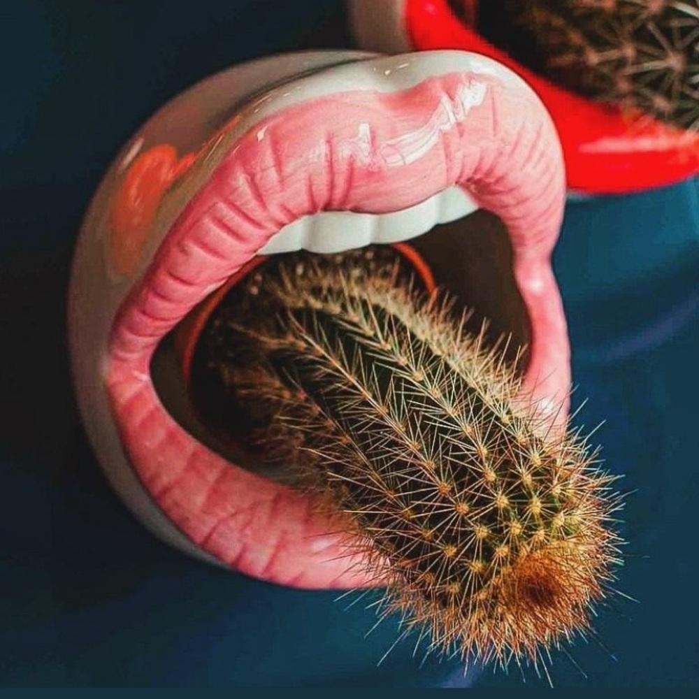 Meet your Posher, Kay